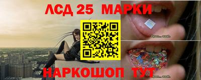 ешки Кингисепп