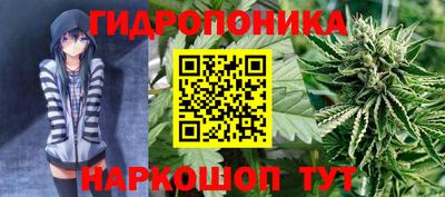 ешки Кингисепп