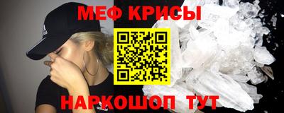 ешки Кингисепп