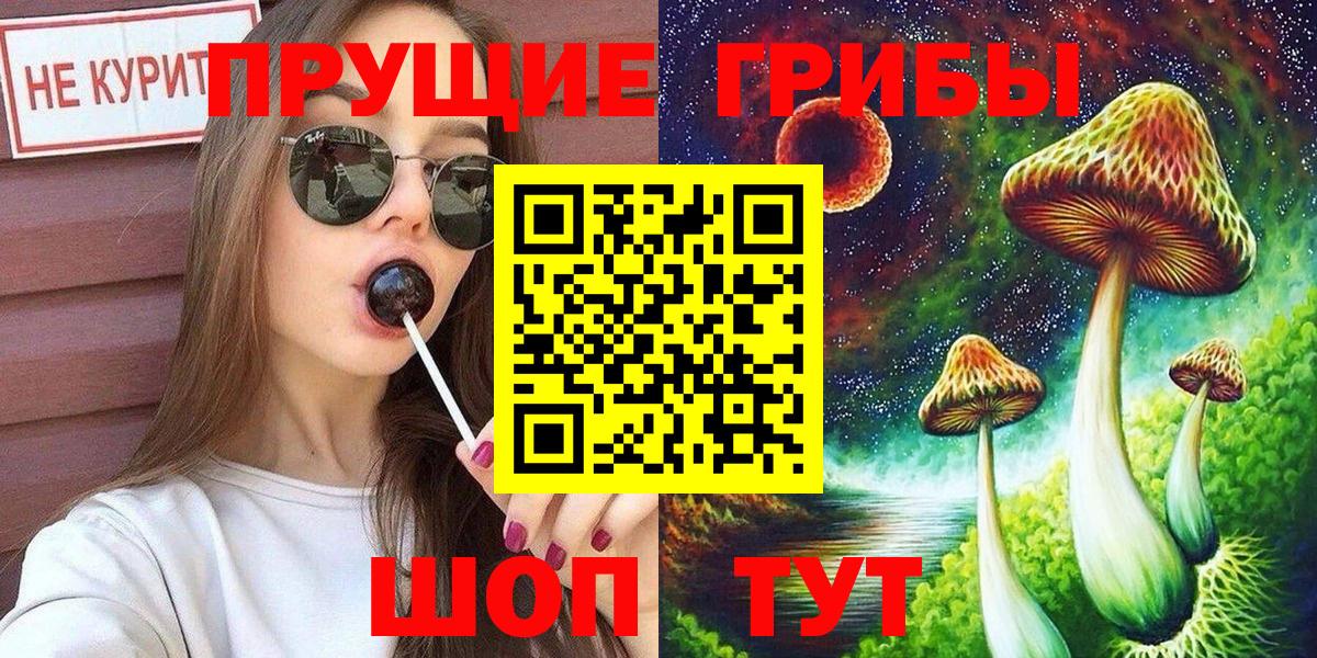 Псилоцибиновые грибы мицелий  Вход с VPN  Азов 